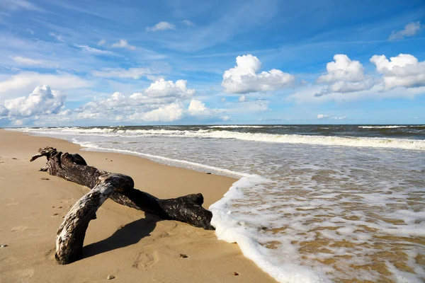Paesaggio marino, Mar Baltico — Foto Stock