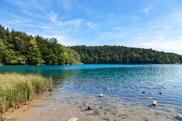 Güzel göl — Stok fotoğraf