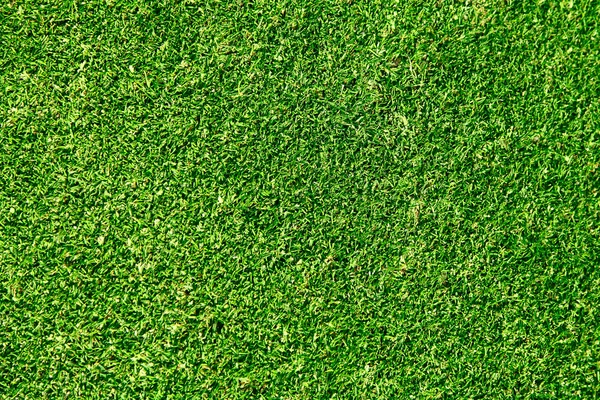 理想的な緑の芝生は背景として使用することができます。 — ストック写真