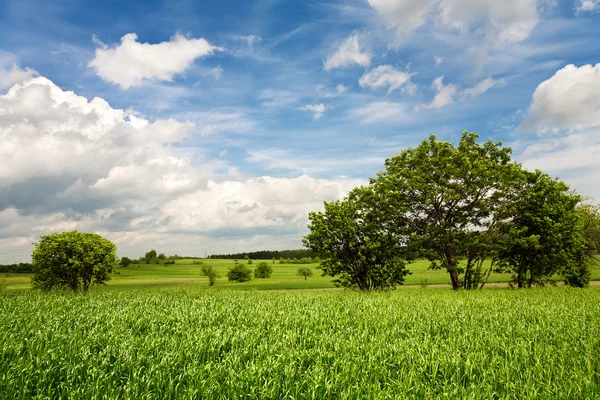 Landelijk landschap — Stockfoto