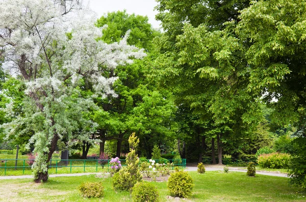 Parco in città — Foto Stock