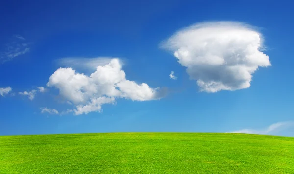 Campo em um contexto do céu azul — Fotografia de Stock