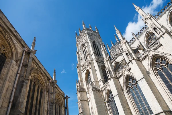 York minster yorkshire england under en blå himmel — Stockfoto