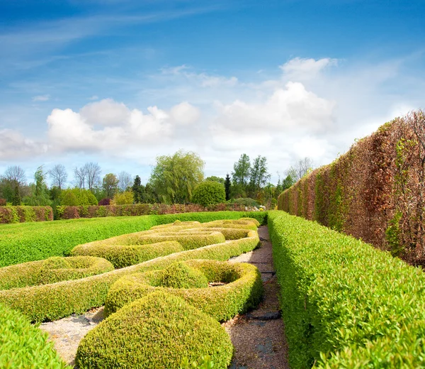 Lugn formell trädgård i våren — Stockfoto