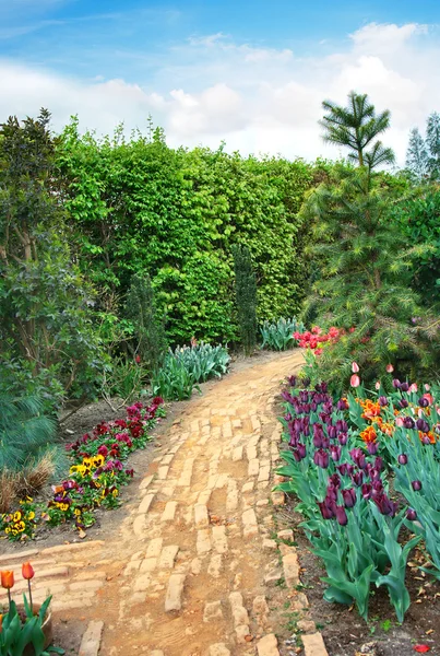 Gehweg schlängelt sich durch einen ruhigen Garten — Stockfoto