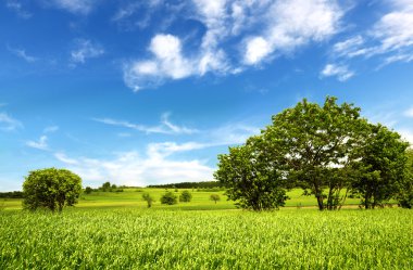 Beautiful green landscape clipart