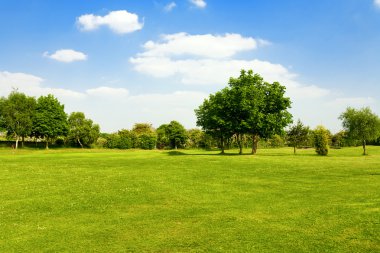 Yeşil çimenlerin üzerinde bir golf alanı