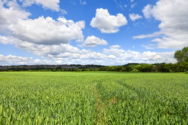Engelska landsbygden under våren — Stockfoto
