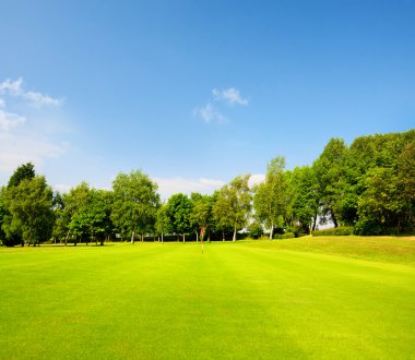 Yeşil çimenlerin üzerinde bir golf alanı