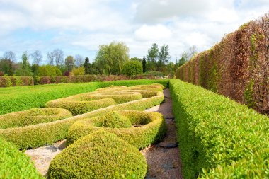 Garden with Topiary Landscaping clipart