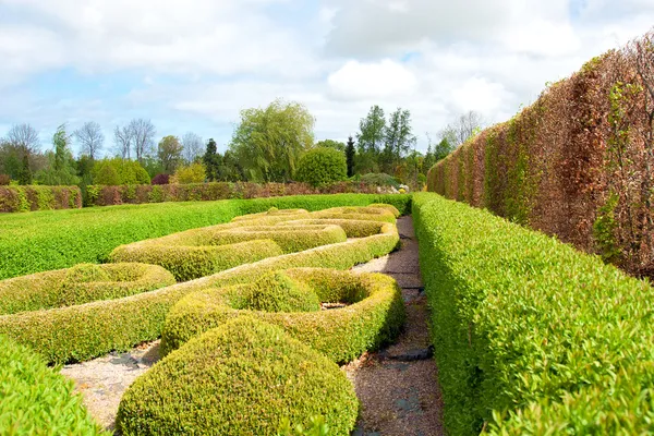 Garten mit topiary Landschaftsplanung — Stockfoto