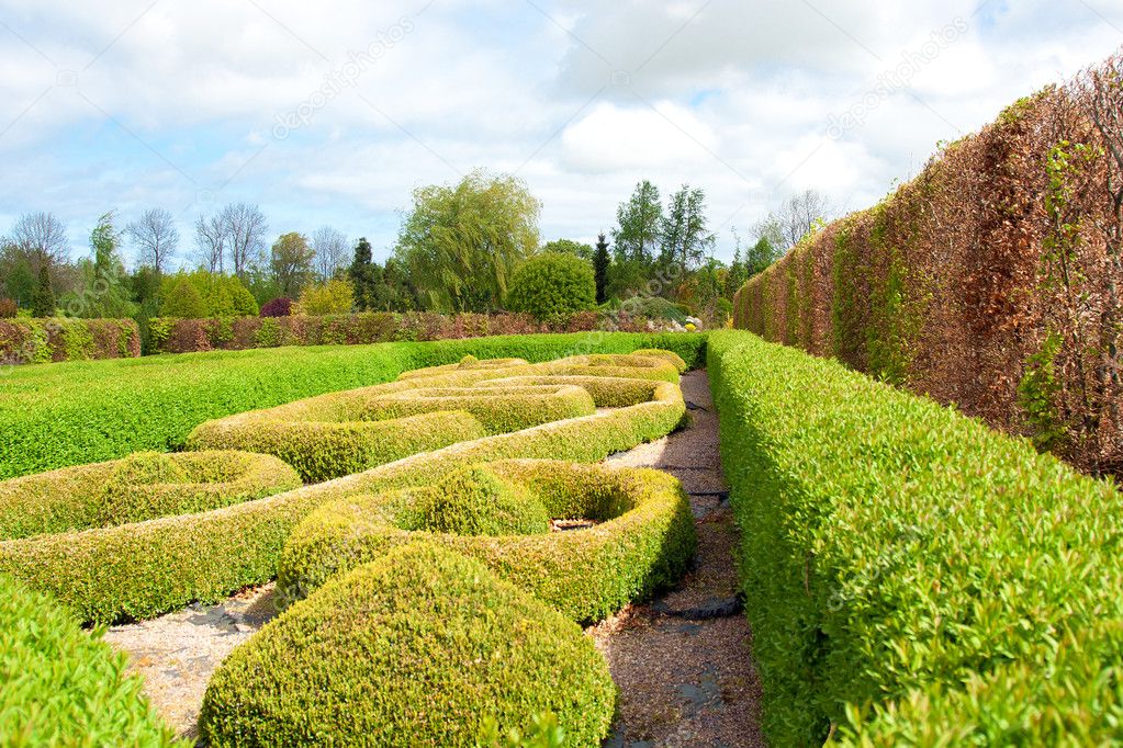 Garden with Topiary Landscaping