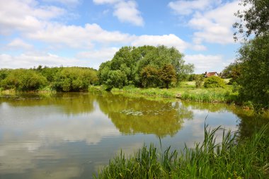 Beautiful lake in spring clipart