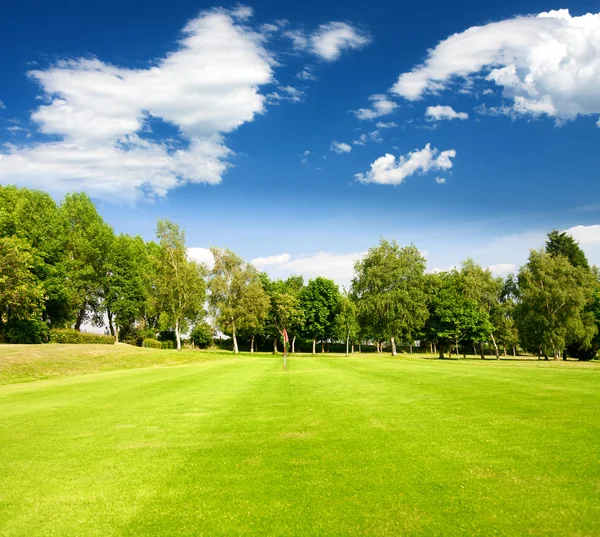Зеленая трава на поле для гольфа — стоковое фото