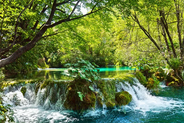 Piękna przyrody, wodospad w plitvice — Zdjęcie stockowe