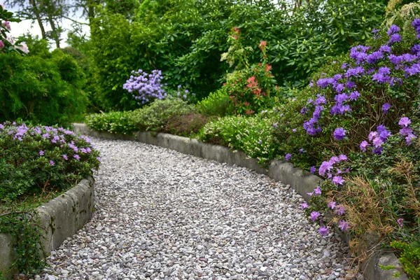 Svěží, kvetoucí letní zahrada s dlážděnou cestou — Stock fotografie