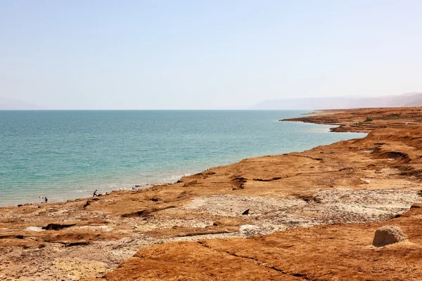 Kuollut meri, Israel — kuvapankkivalokuva