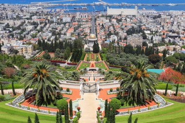 Bahai Gardens in Haifa clipart