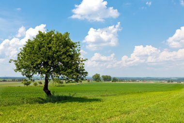 Agricultural green space clipart