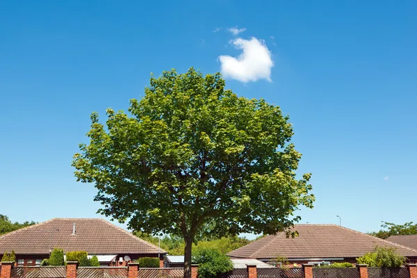 stock image England landscape