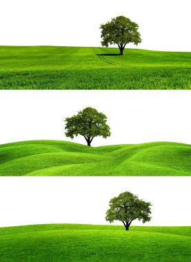 Green Earth clipart