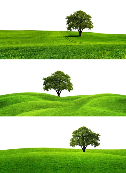녹색 지구 — 스톡 사진