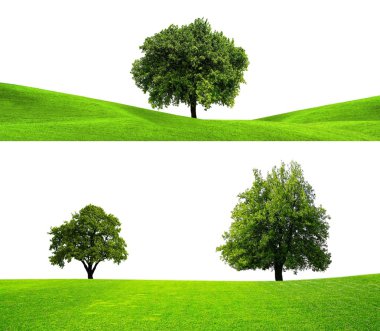 Green nature clipart