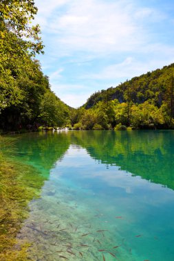 Plitvice Lakes national park in Croatia clipart