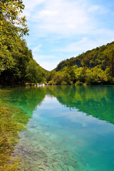 Národní park Plitvická jezera, Chorvatsko — Stock fotografie