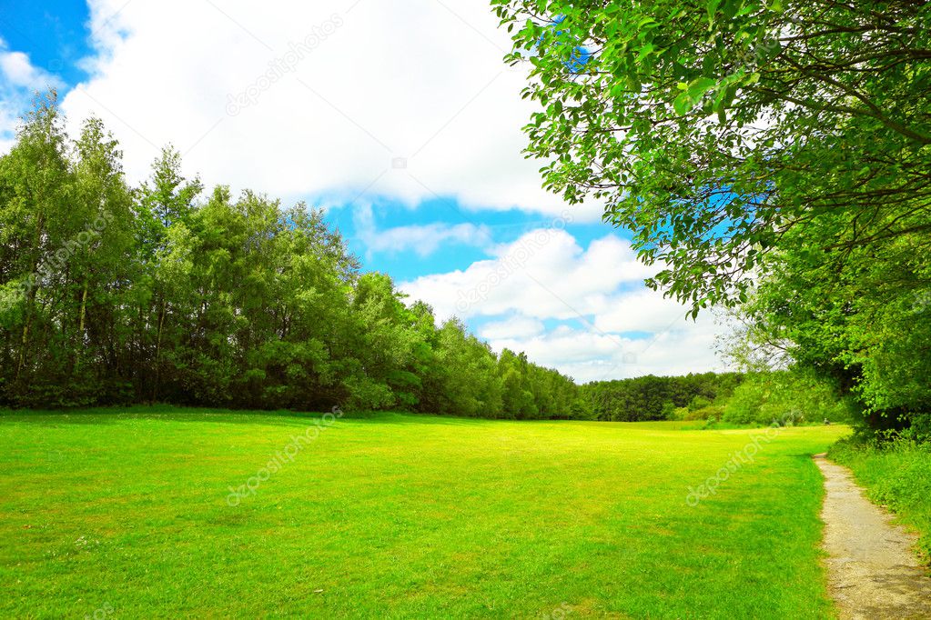 Summer landscape with green grass