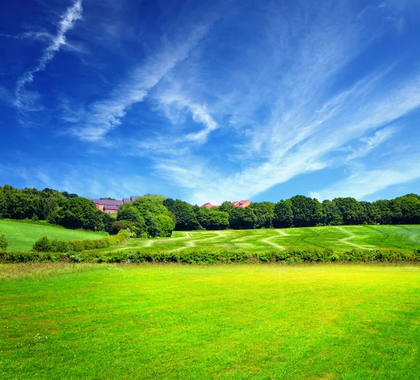 Зеленое поле и облачное небо — стоковое фото