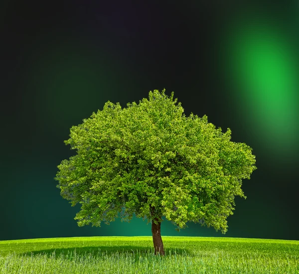 Zona verde ecologica — Foto Stock