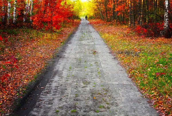 Kleuren van de herfst — Stockfoto