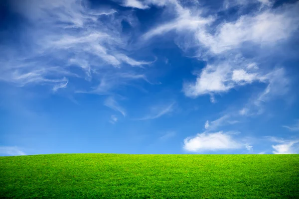 Spring, green field — Stock Photo, Image
