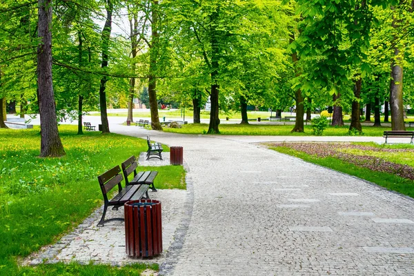 Grüner Stadtpark — Stockfoto
