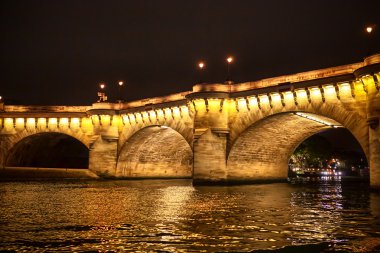 Seine river in Paris clipart