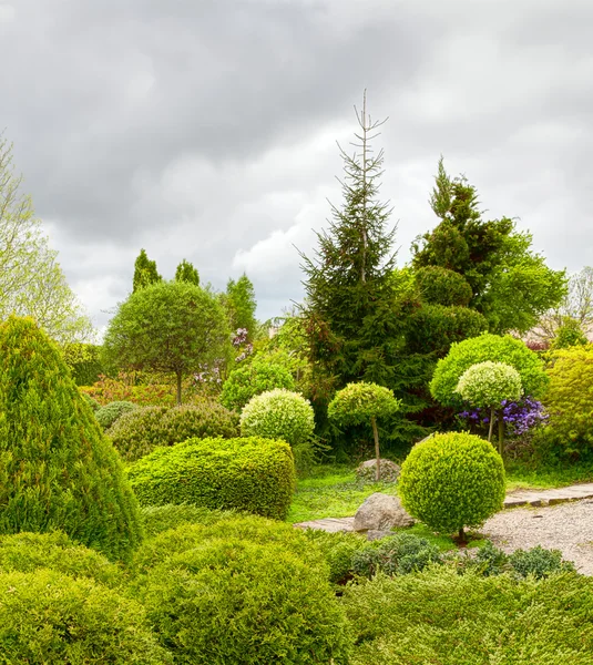 Vacker trädgård — Stockfoto