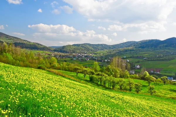 Groene spring valley — Stockfoto