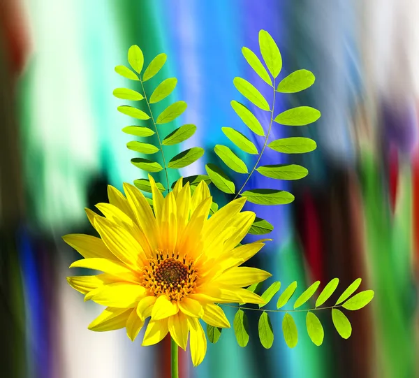 Uno striscione di primavera luminoso e colorato — Foto Stock
