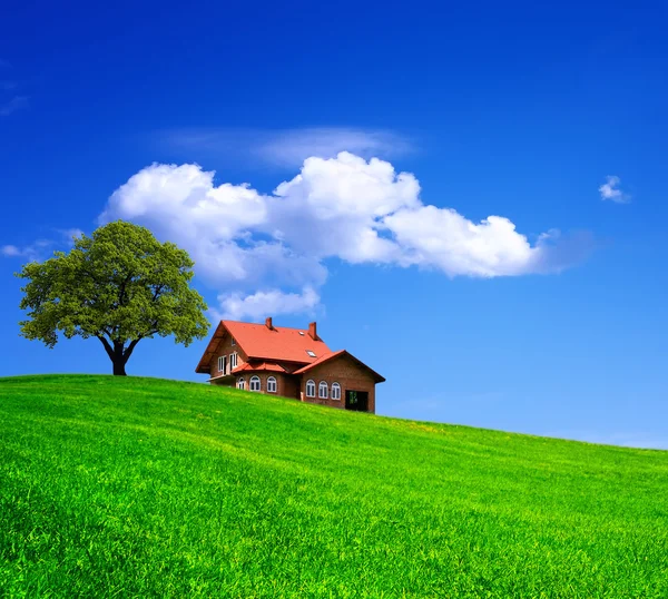 Huis op groene veld — Stockfoto