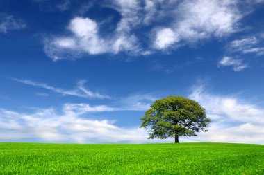 Nature on sky background clipart