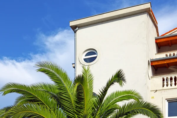 Nytt hus och gröna palmer — Stockfoto