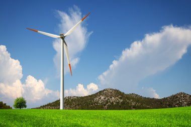 viento y verde de la naturaleza