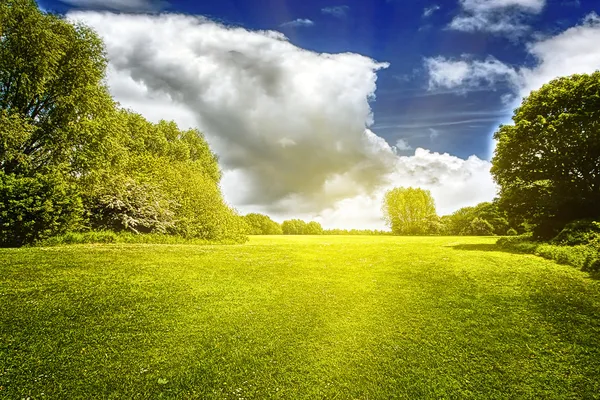 Green field and clouds — Stock Photo, Image