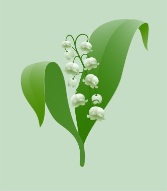 Lily-of-the-valley clipart