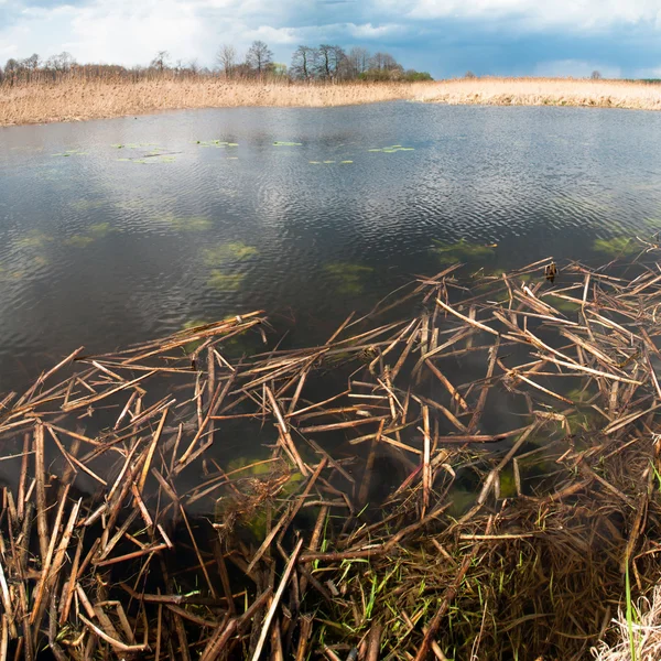 stock image Lake