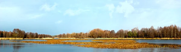 stock image Lake