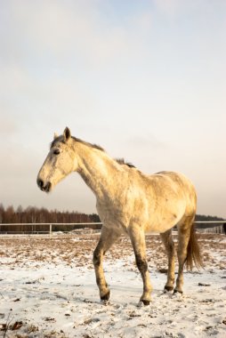 at