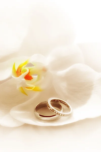 Anéis de anel de anel — Fotografia de Stock