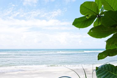 Viewviewviewviewviewviewviewviewviewviewview